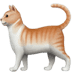 :cat2: :cat2: