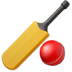 :cricket_bat_and_ball: :cricket_bat_and_ball: