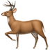:deer: :deer: