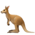 :kangaroo: :kangaroo: