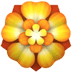 :rosette: :rosette: