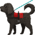 :service_dog: :service_dog: