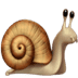 :snail: :snail: