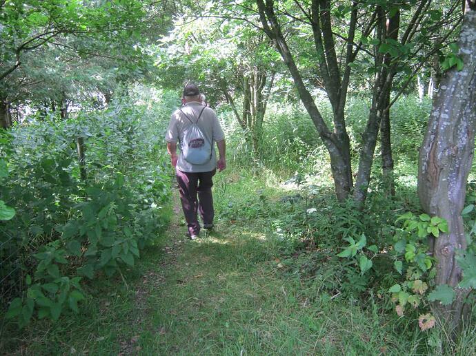 zy2 Path Through Copse-Grassy-Stoney