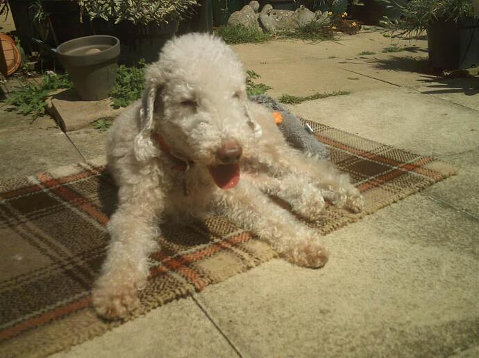 Iris May '22 007