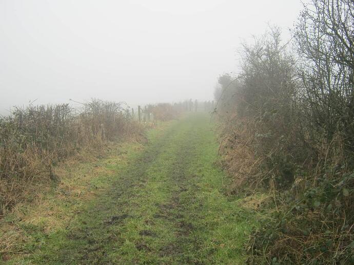 15c Track Between Fields-Muddy