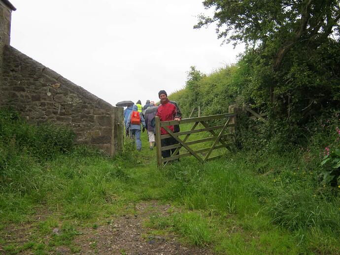 5a Timber_Farm_Gate_Onto_Field