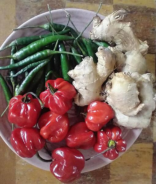 IMG_20260216_105322870~2