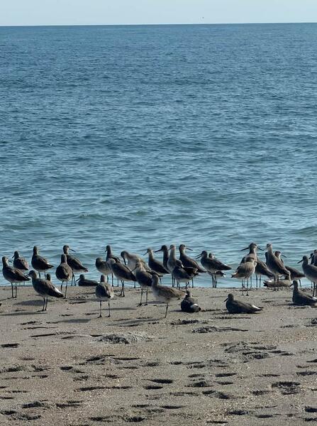 Screenshot 2025-11-26 at 7.05.06 AM