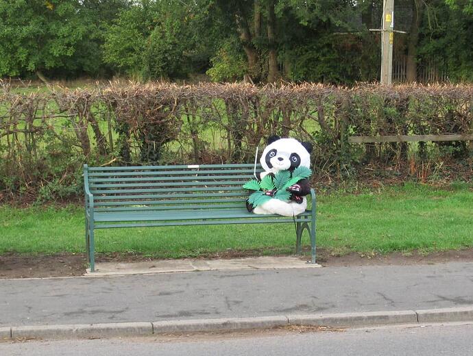 Panda 190925