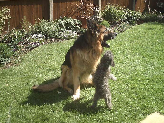 Biff & Alf