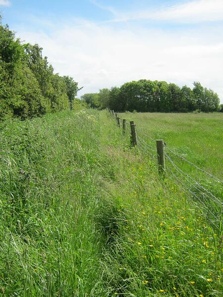 T4 Path Alongside Ditch-Grassy