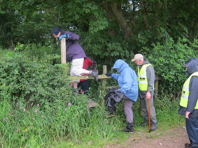14a Timber_Double-Step_Pole_&_Rail_Stile_In_Field