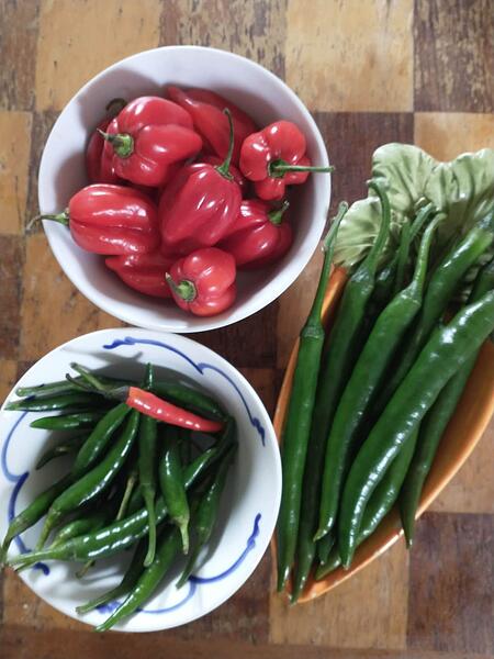 IMG_20260309_093608050~2