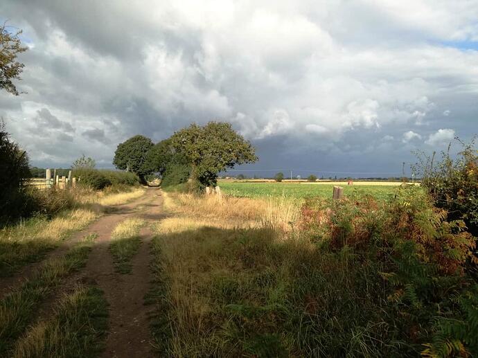 Out on the Lane