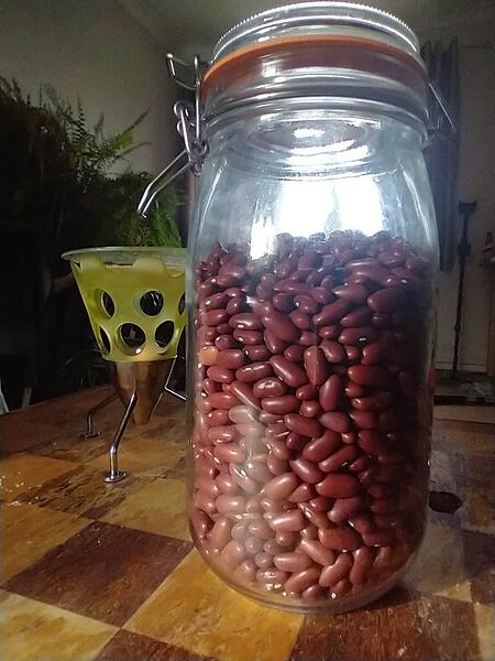 IMG_20260313_090204753