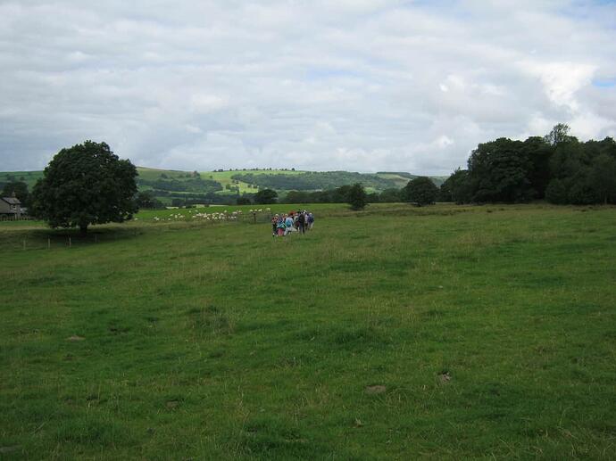 E3 Path Across Field-Grassy