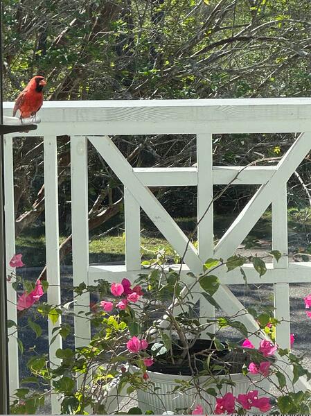 Screenshot 2025-10-22 at 11.02.25 AM