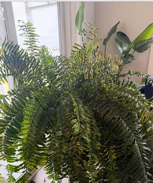 Screenshot 2025-12-03 at 8.56.15 AM