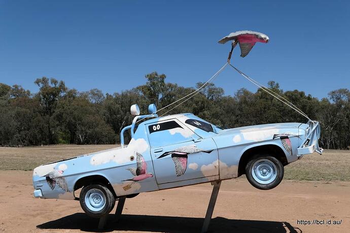 251121 011 Utes in the Paddock Condobolin