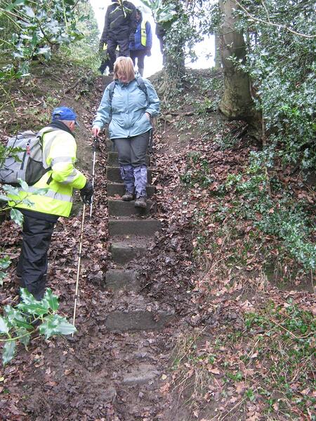 22b Stone_Steps_With_No_Rail-Extremely_Steep(d)