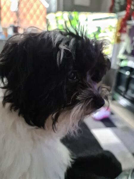 16406107284523908285819847029525