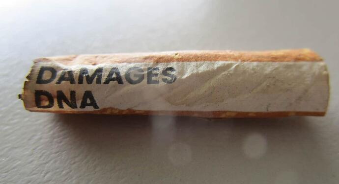 fag