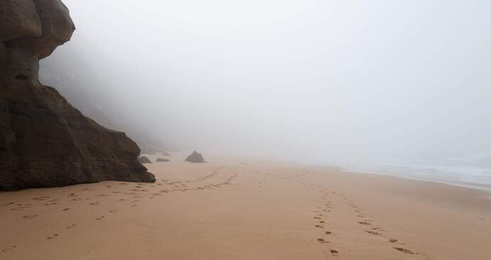 What-A-Foggy-Beach-Run-Taught-Me-About-Managing-Uncertainty