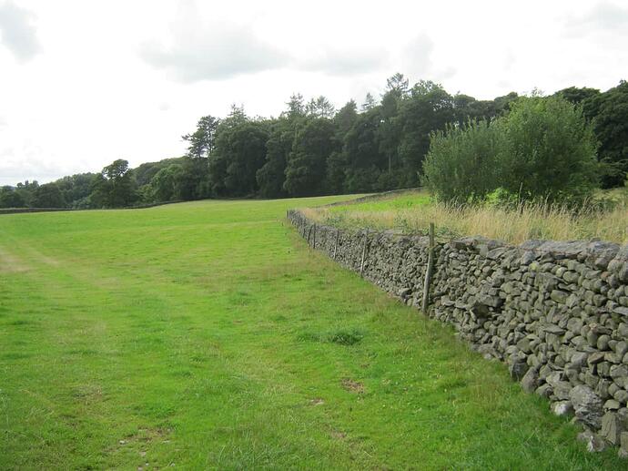 za4 Path Alongside Field-Grassy