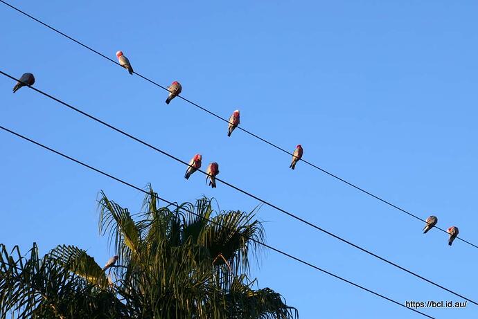 P1050045