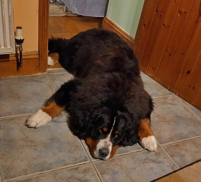 IMG-20251104-WA0006 (1)