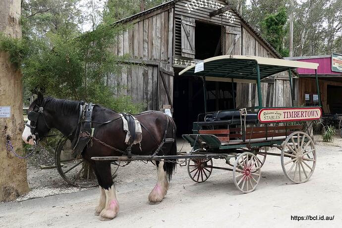 221104 076 Timbertown Wauchope