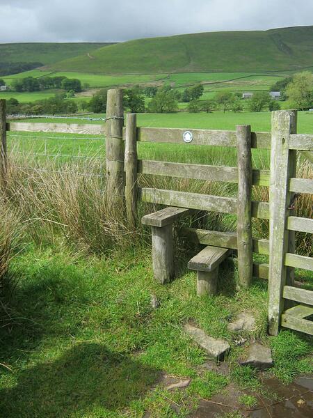 25c Timber Double-Step Rail Stile By Gate On Track