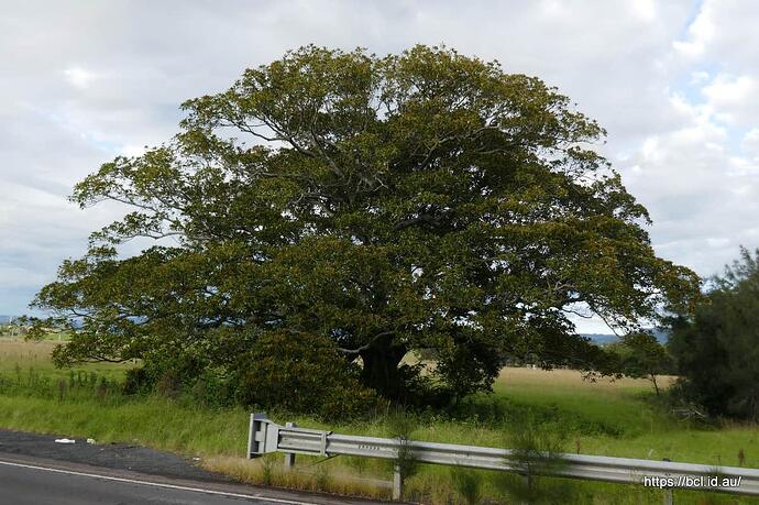 260407 010 Morning Walk