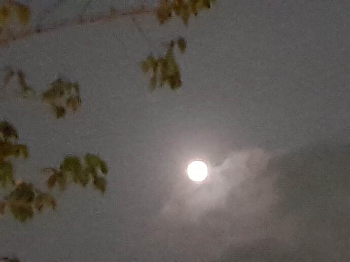 Full moon