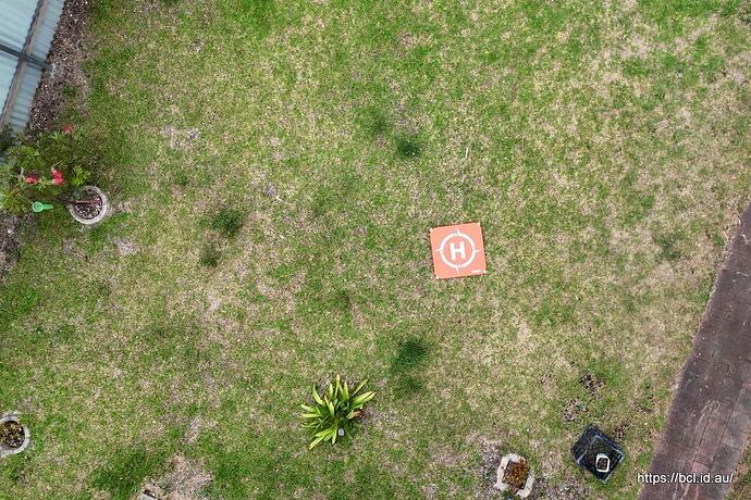 vlcsnap-2026-01-02-11h34m57s303