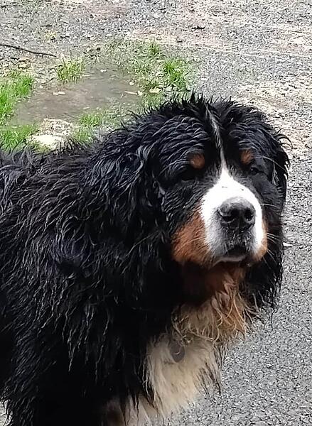 IMG-20251201-WA0008 (1) (1)