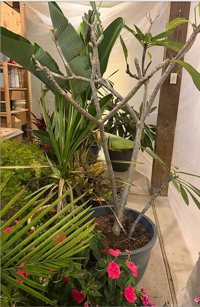 Screenshot 2025-12-14 at 9.52.37 PM