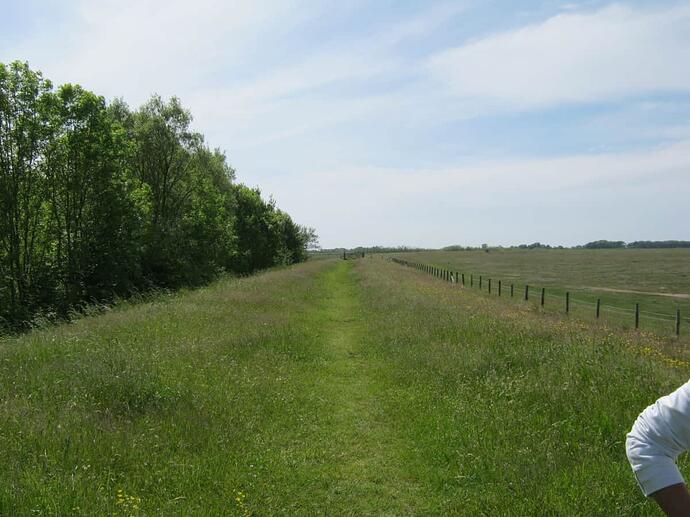 zb5 Coastal Path-Grassy