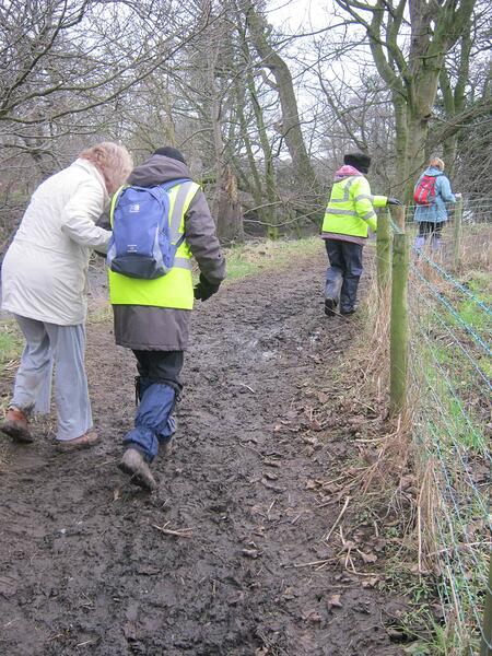 34a Path_Alongside_Field-Very_Muddy