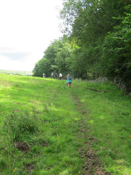 zd7 Path Alongside Field-Grassy-Muddy-Slight Incline(u)