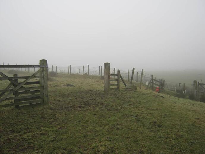 17a Large Timber Gate In Field