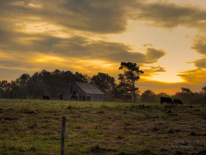 country-sunrise_6536036931_o