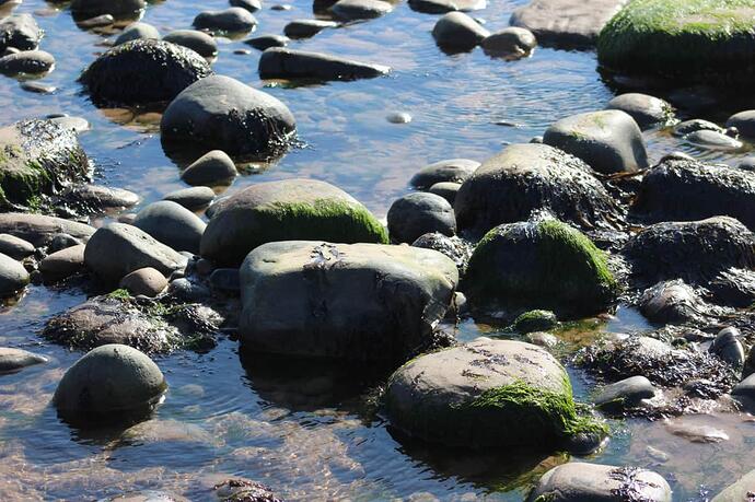 pebbles_stones_water_sea_beach_holiday_rock_pool_rock-839532