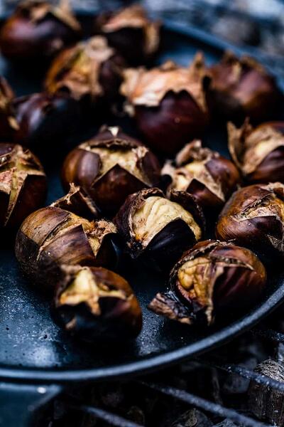 how-to-roast-chestnuts-on-bbq-1024x1536-3790365412