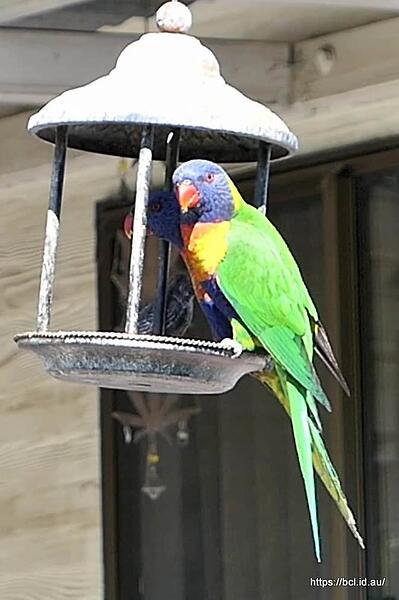 vlcsnap-2025-11-09-11h02m46s915