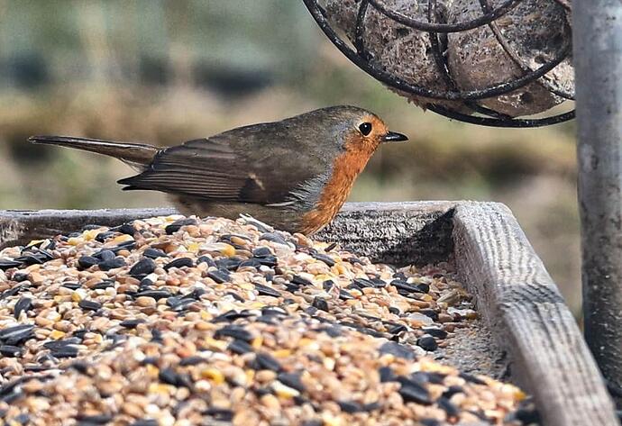 647222946_26274004575563862_7131445928783917306_n