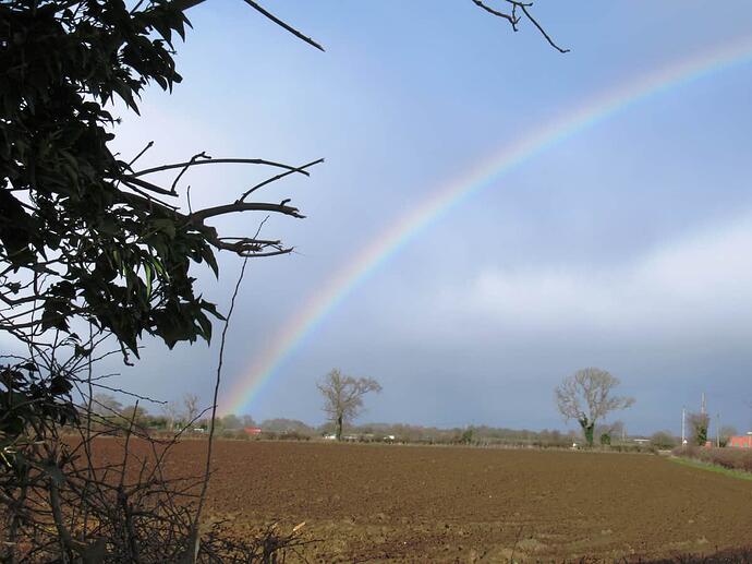 07 Pot of gold