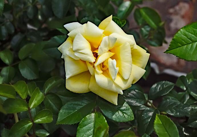 P1013479