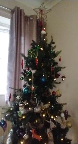 IMG_20251207_101755402~2